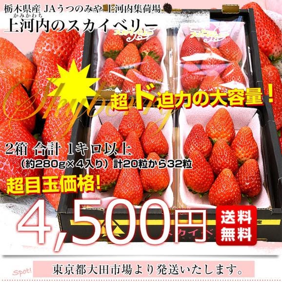 栃木県産 JAうつのみや 超盛り「上河内のスカイベリー」たっぷり2箱 合計1キロ以上（約280g&times;4入り）計20粒から32粒 送料無料 すかいべりー いちご 苺 イチゴ03