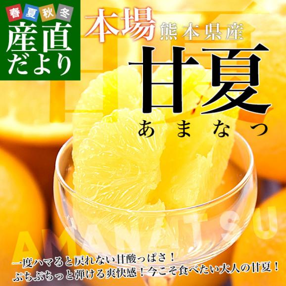熊本県から産地直送 熊本県産 甘夏（あまなつ） ご家庭向け 無印 Mから2Lサイズ 約5キロ(合計12玉から16玉前後) 送料無料 柑橘　かんきつ02
