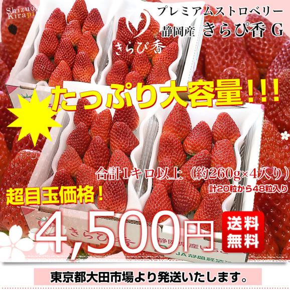 静岡県産 プレミアムいちご 超盛りきらぴ香 G たっぷり2箱 合計1キロ以上（約260g&times;4入り）計20粒から48粒入り 送料無料 苺 イチゴ03