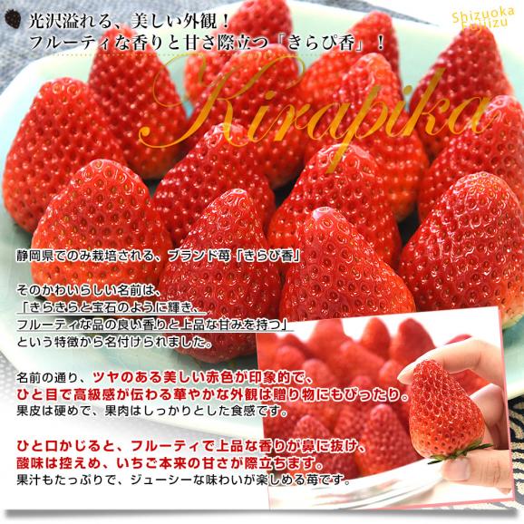 静岡県産 プレミアムいちご 超盛りきらぴ香 G たっぷり2箱 合計1キロ以上（約260g&times;4入り）計20粒から48粒入り 送料無料 苺 イチゴ04
