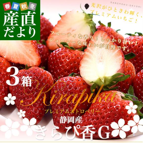 静岡県産 プレミアムいちご 超盛りきらぴ香 G たっぷり3箱 合計1.5キロ以上（約260g&times;6入り）計30粒から72粒入り 送料無料 苺 イチゴ02
