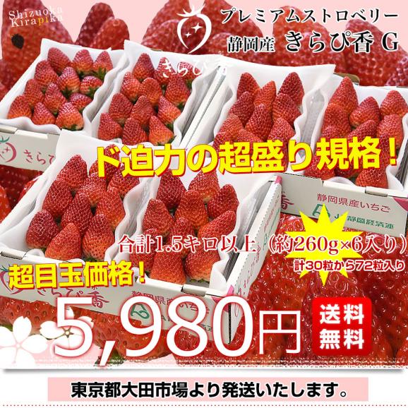静岡県産 プレミアムいちご 超盛りきらぴ香 G たっぷり3箱 合計1.5キロ以上（約260g&times;6入り）計30粒から72粒入り 送料無料 苺 イチゴ03