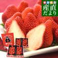 熊本県産 JA熊本市 超盛りゆうべに 秀品 たっぷり2箱 合計 約1キロ（約250g×4入り）計28粒から44粒 送料無料 いちご 苺 イチゴ