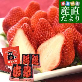 熊本県産 JA熊本市 超盛りゆうべに 秀品 たっぷり2箱 合計 約1キロ（約250g×4入り）計28粒から44粒 送料無料 いちご 苺 イチゴ