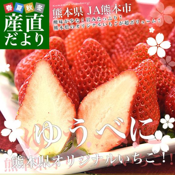 熊本県産 JA熊本市 超盛りゆうべに 秀品 たっぷり2箱 合計 約1キロ（約250g&times;4入り）計28粒から44粒 送料無料 いちご 苺 イチゴ02