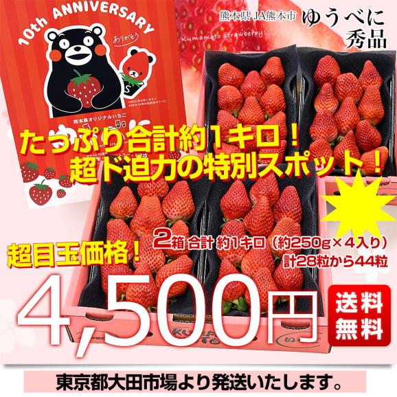 熊本県産 JA熊本市 超盛りゆうべに 秀品 たっぷり2箱 合計 約1キロ（約250g&times;4入り）計28粒から44粒 送料無料 いちご 苺 イチゴ03