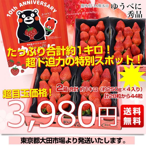 熊本県産 JA熊本市 超盛りゆうべに 秀品 たっぷり2箱 合計 約1キロ(約250g×4入り)計28粒から44粒 送料無料 いちご 苺 イチゴ03