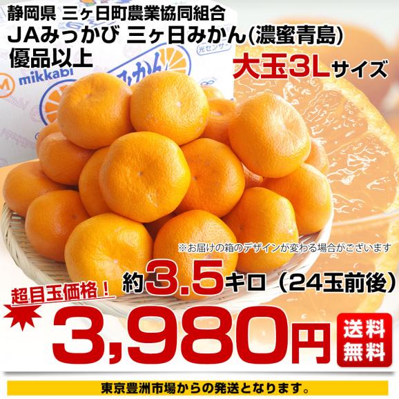 静岡県産 JAみっかび 三ヶ日みかん 濃蜜青島 3Lサイズ 優品以上 約3.5キロ（24玉前後）蜜柑 ミカン 青島みかん 送料無料03