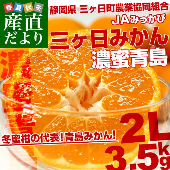 静岡県産 JAみっかび 三ヶ日みかん 濃蜜青島 2Lサイズ 優品以上 約3.5キロ（30玉前後）蜜柑 ミカン 青島みかん 送料無料02