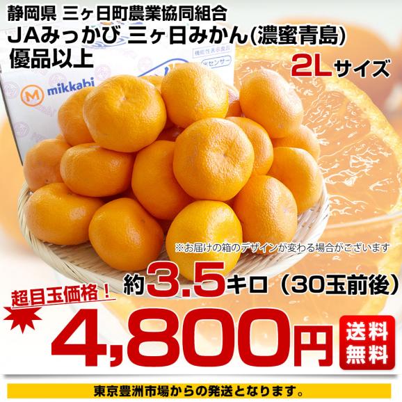 静岡県産 JAみっかび 三ヶ日みかん 濃蜜青島 2Lサイズ 優品以上 約3.5キロ（30玉前後）蜜柑 ミカン 青島みかん 送料無料03
