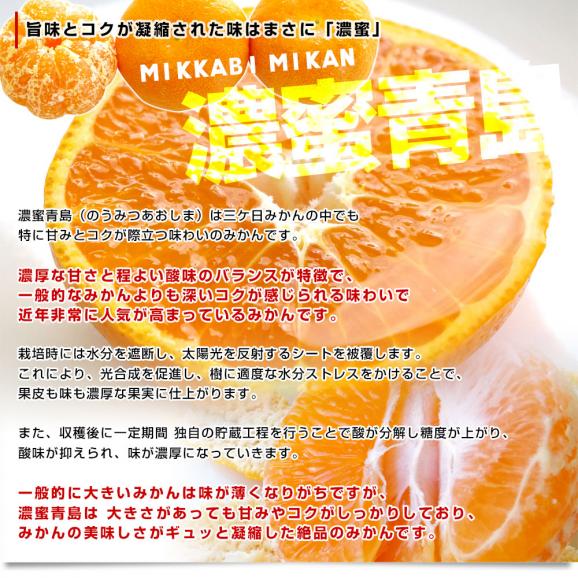 静岡県産 JAみっかび 三ヶ日みかん 濃蜜青島 2Lサイズ 優品以上 約3.5キロ（30玉前後）蜜柑 ミカン 青島みかん 送料無料04
