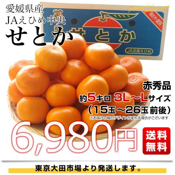 愛媛県産 JAえひめ中央 せとか 赤秀品　3LからLサイズ 約5キロ（15玉から26玉前後）送料無料 柑橘 オレンジ03