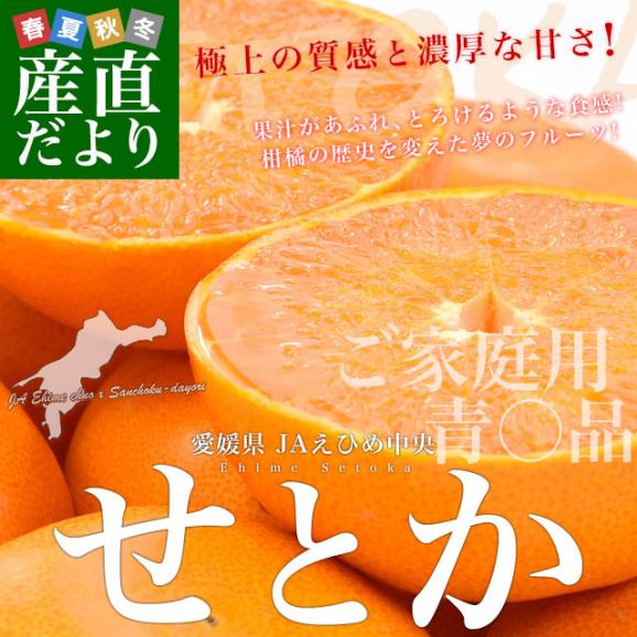 愛媛県産 JAえひめ中央 せとか ご家庭用 青〇品　3LからLサイズ 約5キロ（15玉から26玉前後）送料無料 柑橘 オレンジ02