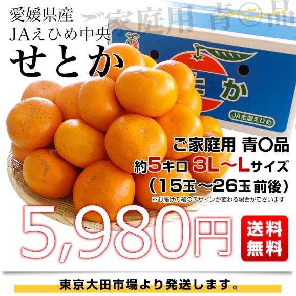 愛媛県産 JAえひめ中央 せとか ご家庭用 青〇品　3LからLサイズ 約5キロ（15玉から26玉前後）送料無料 柑橘 オレンジ03
