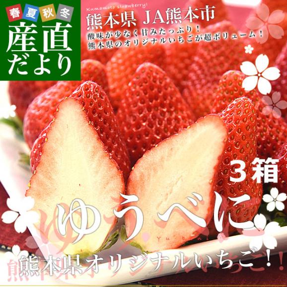 熊本県産 JA熊本市 超盛りゆうべに 秀品 たっぷり3箱 合計 約1.5キロ（約250g&times;6入り）計42粒から77粒 送料無料 いちご 苺 イチゴ02