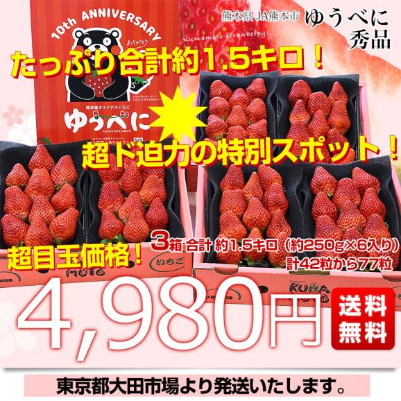 熊本県産 JA熊本市 超盛りゆうべに 秀品 たっぷり3箱 合計 約1.5キロ(約250g×6入り)計42粒から77粒 送料無料 いちご 苺 イチゴ03
