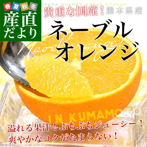 熊本県から産地直送 熊本県産 訳ありご家庭用 ネーブルオレンジ Mから3L 約5キロ（17玉から33玉前後）送料無料 柑橘 かんきつ02