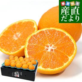 愛媛県産 JAにしうわ みつる共選 プレミアムデコポン 蜜る（みつる） 3Lから2Lサイズ 約5キロ(18玉から20玉) 送料無料 にしうわ 西宇和 でこぽん 柑橘