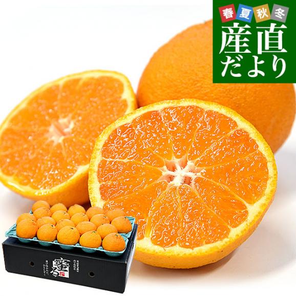 愛媛県産 JAにしうわ みつる共選 プレミアムデコポン 蜜る（みつる