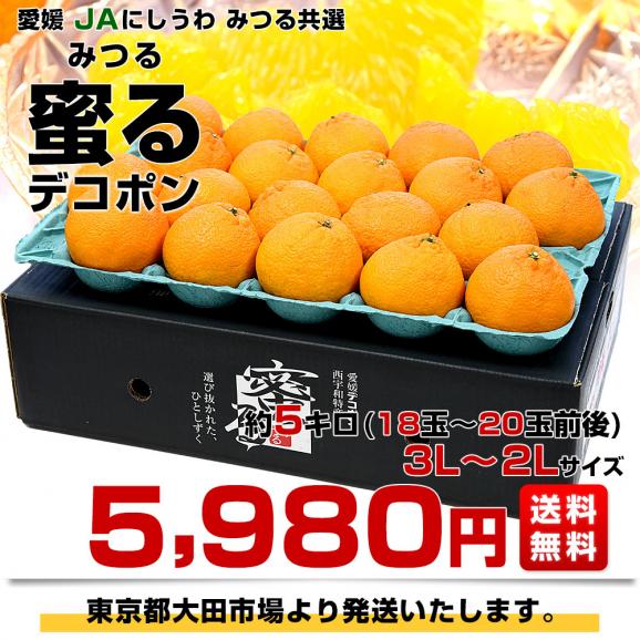 愛媛県産 JAにしうわ みつる共選 プレミアムデコポン 蜜る(みつる) 3Lから2Lサイズ 約5キロ(18玉から20玉) 送料無料 にしうわ 西宇和 でこぽん 柑橘03