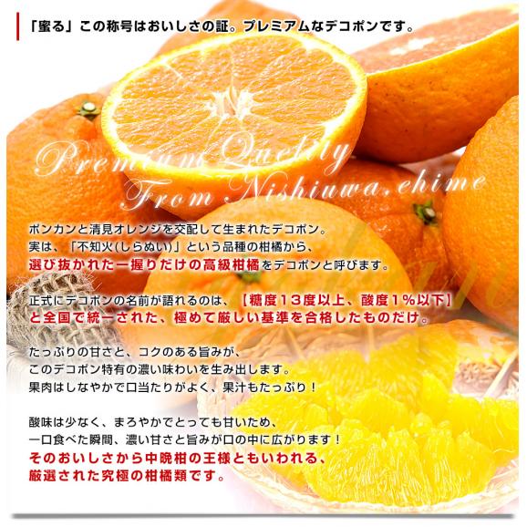 愛媛県産 JAにしうわ みつる共選 プレミアムデコポン 蜜る（みつる