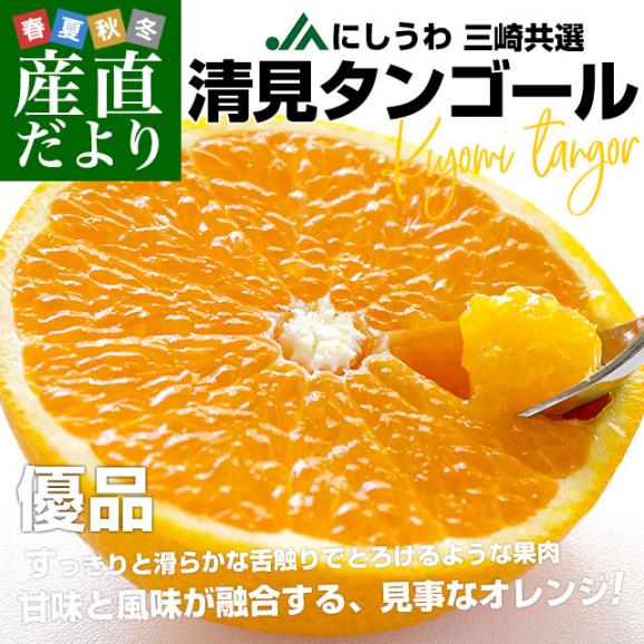 愛媛県産 JAにしうわ三崎共選 清見タンゴール 優品 2LからLサイズ 約3キロ (12玉から16玉前後) 送料無料 柑橘 オレンジ 西宇和02