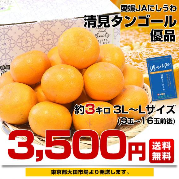 愛媛県産 JAにしうわ三崎共選 清見タンゴール 優品 3LからLサイズ 約3キロ (9玉から16玉前後) 送料無料 柑橘 オレンジ 西宇和03