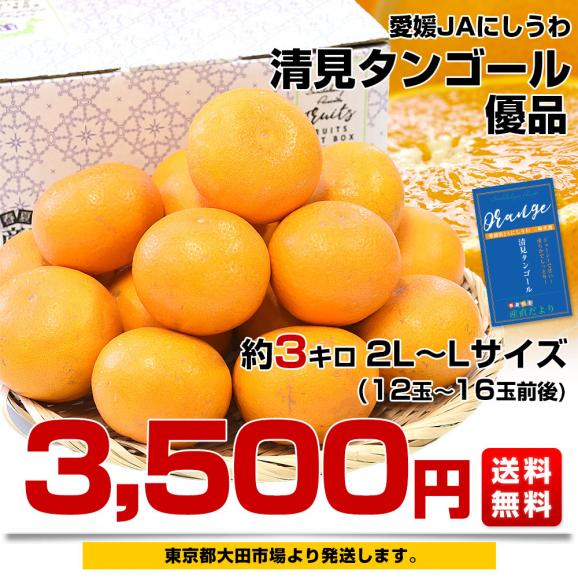 愛媛県産 JAにしうわ三崎共選 清見タンゴール 優品 2LからLサイズ 約3キロ (12玉から16玉前後) 送料無料 柑橘 オレンジ 西宇和03