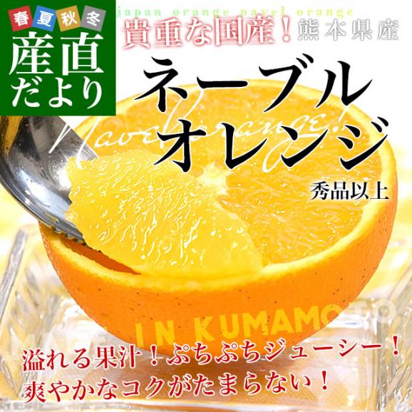 熊本県から産地直送 熊本県産 ネーブルオレンジ 秀品以上 Mから2L 約5キロ(21玉から33玉前後)送料無料 柑橘 かんきつ02