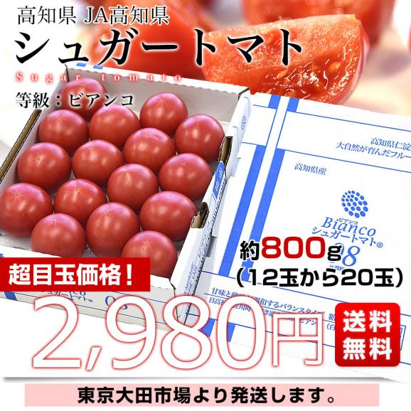 高知県産 JA高知県 シュガートマト 糖度8度以上 等級:ビアンコ 約800g(12玉から20玉)送料無料 トマト とまと フルーツトマト ふるーつとまと03