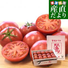 糖度9度以上！格別の甘さと旨味が凝縮した高糖度フルーツトマト！