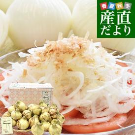 熊本県産 新たまねぎ 秀品 約5キロ LからMサイズ(20玉から30玉前後) 送料無料 しんたま たまねぎ オニオン