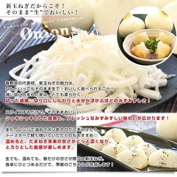 熊本県産 新たまねぎ 秀品 約5キロ LからMサイズ(20玉から30玉前後) 送料無料 しんたま たまねぎ オニオン05
