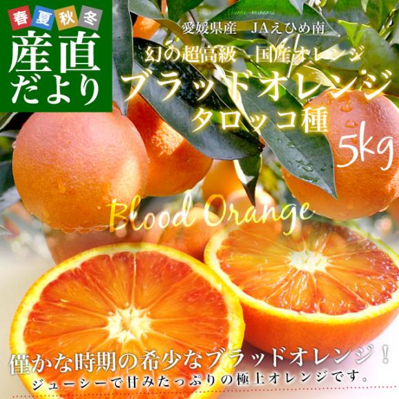 愛媛県より産地直送 JAえひめ南 ブラッドオレンジ タロッコ種 優品 5キロ (30玉から35玉前後) 柑橘 国産オレンジ 国産ブラッド 送料無料02