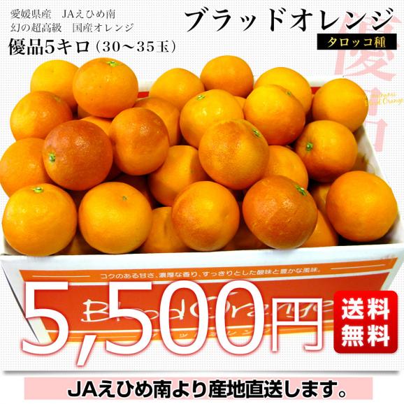 愛媛県より産地直送 JAえひめ南 ブラッドオレンジ タロッコ種 優品 5キロ (30玉から35玉前後) 柑橘 国産オレンジ 国産ブラッド 送料無料03