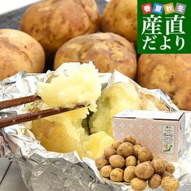 鹿児島県産 新じゃが芋 秀品 2LからLサイズ 約5キロ（20玉から35玉前後）送料無料 馬鈴薯 じゃがいも ジャガイモ 新じゃがいも