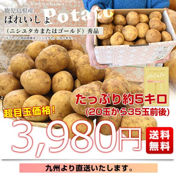 鹿児島県産 新じゃが芋 秀品 2LからLサイズ 約5キロ（20玉から35玉前後）送料無料 馬鈴薯 じゃがいも ジャガイモ 新じゃがいも03