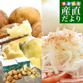 鹿児島県×熊本県！春だけの特別企画！新じゃが＆新たまセット！