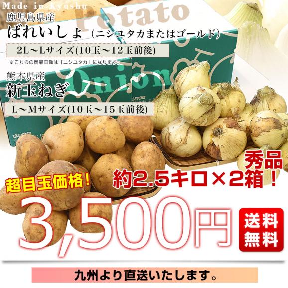 鹿児島県産 新じゃがいも＆熊本県産 新たまねぎセット 約2.5キロ&times;2箱 送料無料 じゃがたま 新じゃが 新たま ジャガイモ 玉ねぎ しんたま03