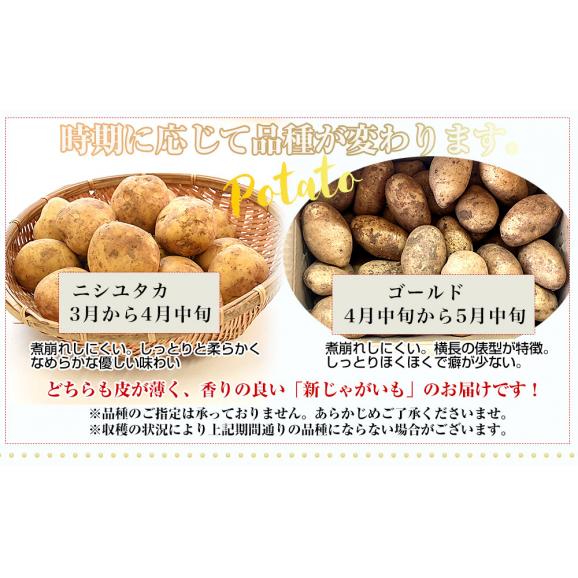 鹿児島県産 新じゃがいも＆熊本県産 新たまねぎセット 約2.5キロ&times;2箱 送料無料 じゃがたま 新じゃが 新たま ジャガイモ 玉ねぎ しんたま05