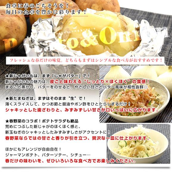 鹿児島県産 新じゃがいも＆熊本県産 新たまねぎセット 約2.5キロ&times;2箱 送料無料 じゃがたま 新じゃが 新たま ジャガイモ 玉ねぎ しんたま06