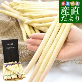 香川県より産地直送 JA香川県 ホワイトアスパラ 2LからMサイズ 約700g (16本から36本前後) 送料無料  丸亀市他 アスパラガス