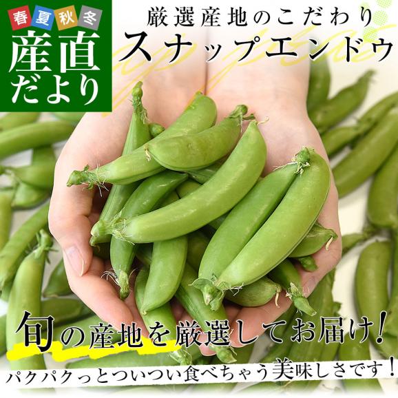 厳選産地のこだわりスナップエンドウ 秀品 Lサイズ 約1キロ 送料無料 豆類 スナップエンドウ スナックエンドウ クール便02