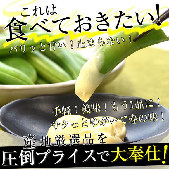 厳選産地のこだわりスナップエンドウ 秀品 Lサイズ 約1キロ 送料無料 豆類 スナップエンドウ スナックエンドウ クール便04