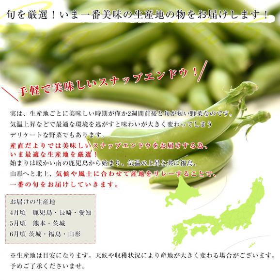 厳選産地のこだわりスナップエンドウ 秀品 Lサイズ 約1キロ 送料無料 豆類 スナップエンドウ スナックエンドウ クール便05