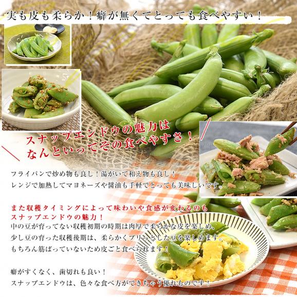 厳選産地のこだわりスナップエンドウ 秀品 Lサイズ 約1キロ 送料無料 豆類 スナップエンドウ スナックエンドウ クール便06
