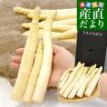 香川県より産地直送 JA香川県 規格外訳あり品 ホワイトアスパラ 大小込み 約700g (16から32本前後) 送料無料  丸亀市他 アスパラガス