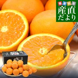 愛媛県産 JAにしうわ みつる共選 プレミアム清見タンゴール 蜜る 秀品 2LからLサイズ 約5キロ (18玉から25玉) 送料無料 柑橘 オレンジ 西宇和