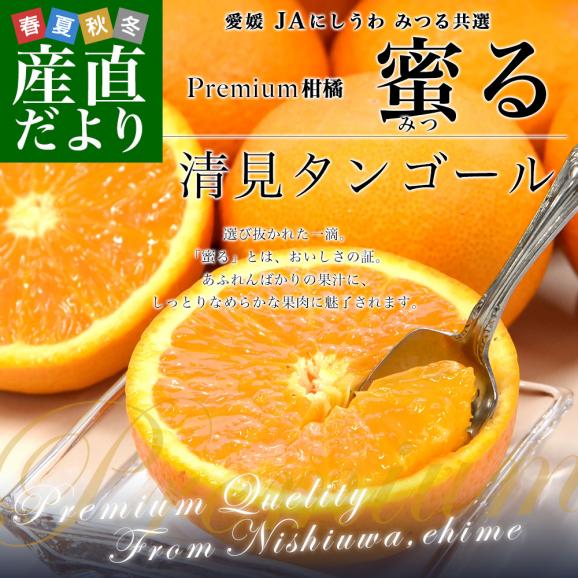 愛媛県産 JAにしうわ みつる共選 プレミアム清見タンゴール 蜜る 秀品 2LからLサイズ 約5キロ (18玉から25玉) 送料無料 柑橘 オレンジ 西宇和02