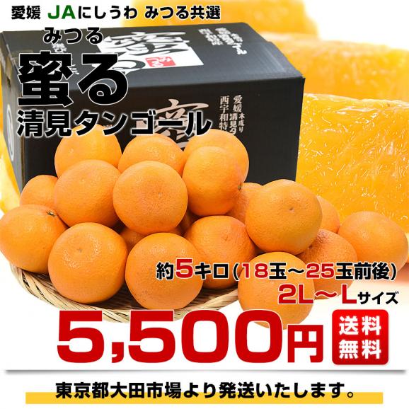 愛媛県産 JAにしうわ みつる共選 プレミアム清見タンゴール 蜜る 秀品 2LからLサイズ 約5キロ (18玉から25玉) 送料無料 柑橘 オレンジ 西宇和03